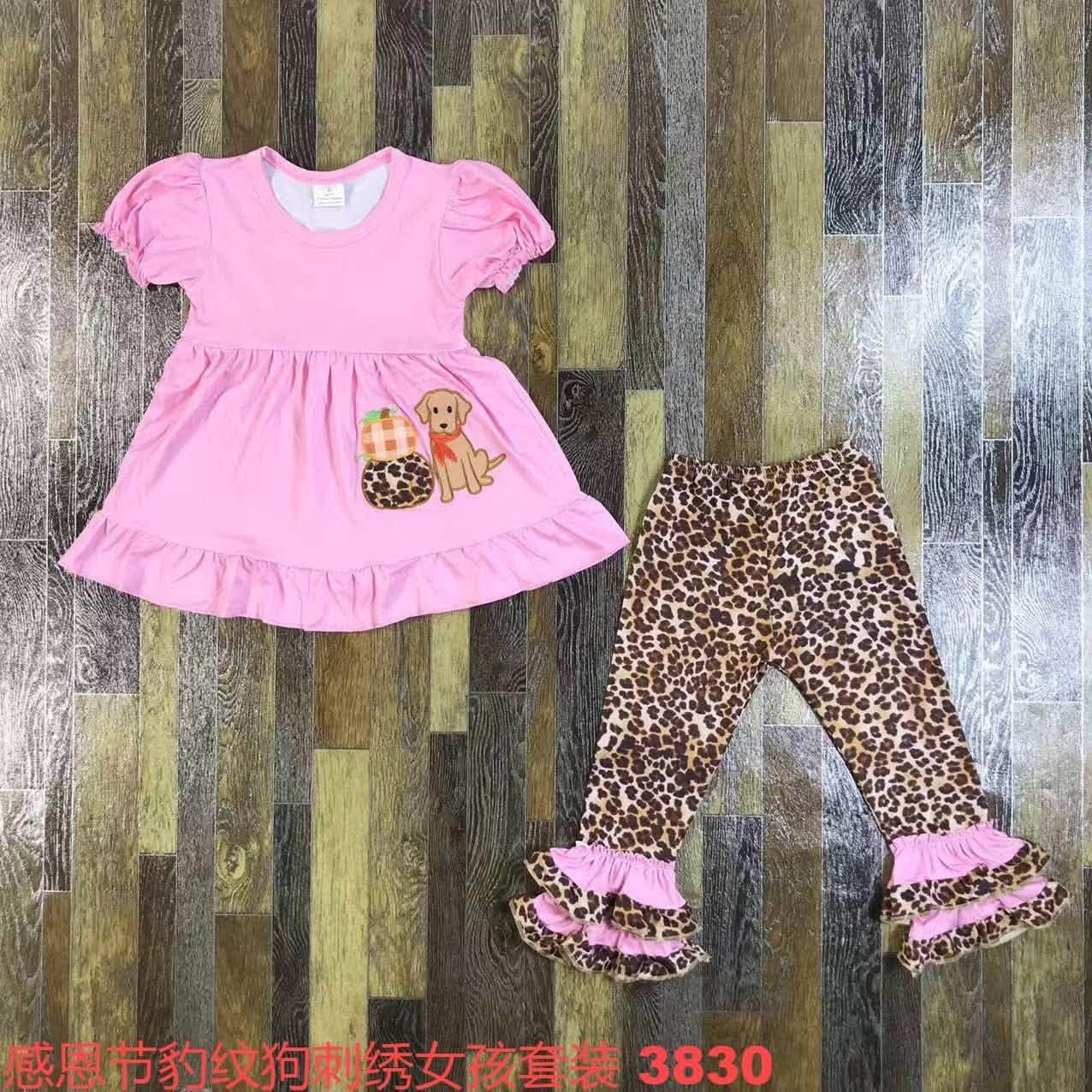 Cheetah Print Pumpkin Dog Pants Set