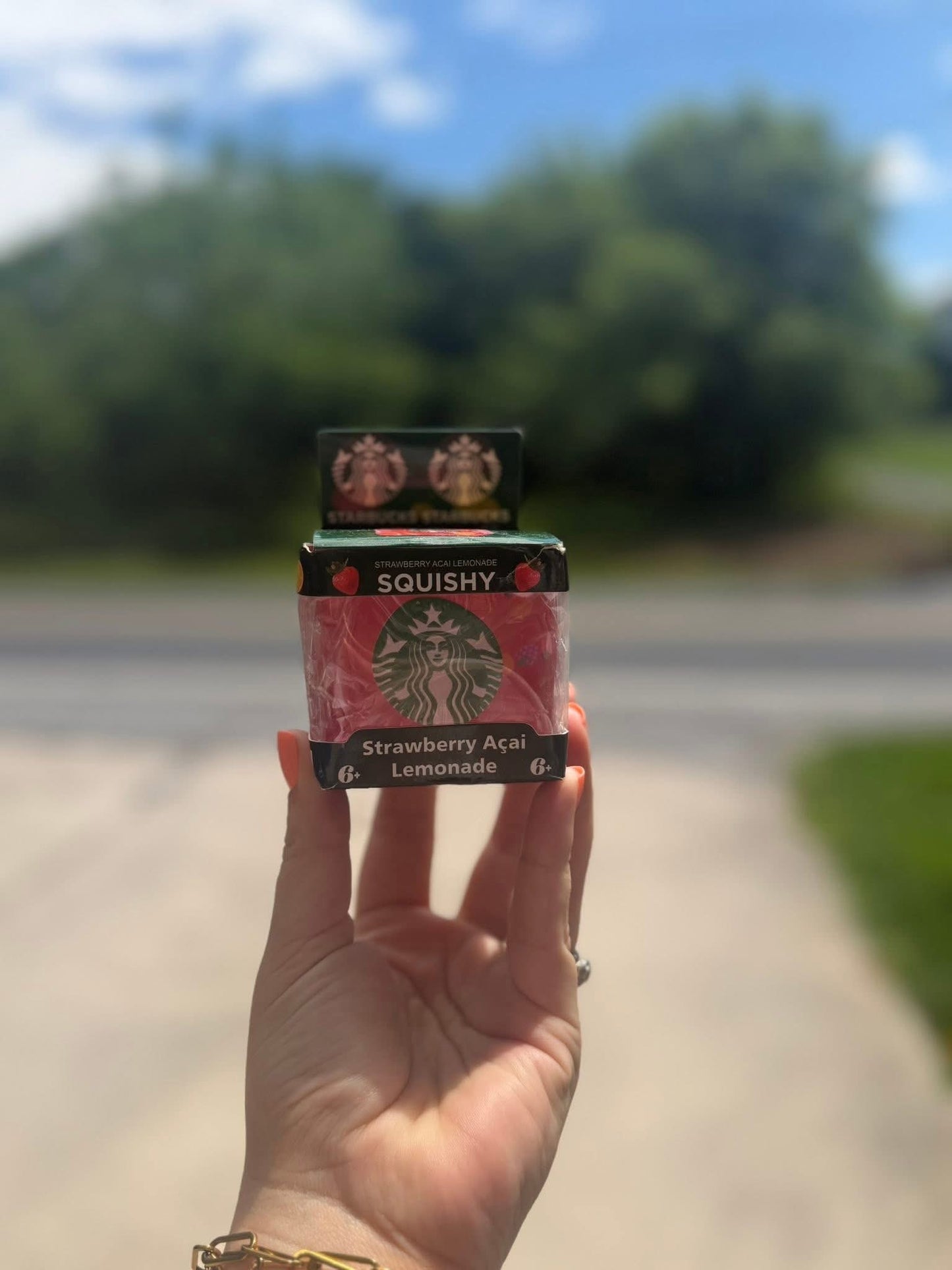 Strawberry Açaí Squishy