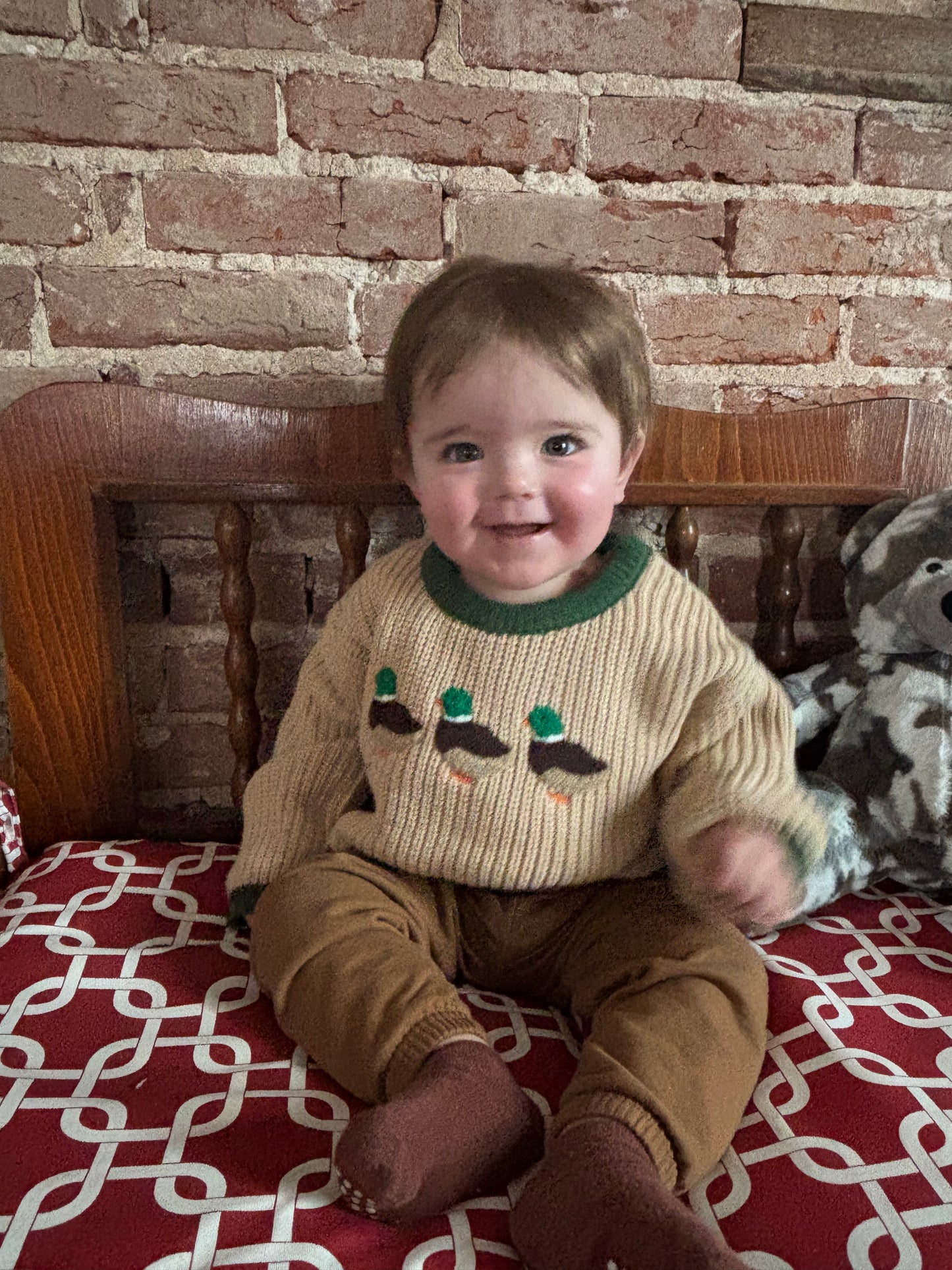 Oversized Embroidery Mallard Duck Sweater